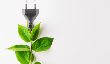 energías renovables en tu proyecto de construcción